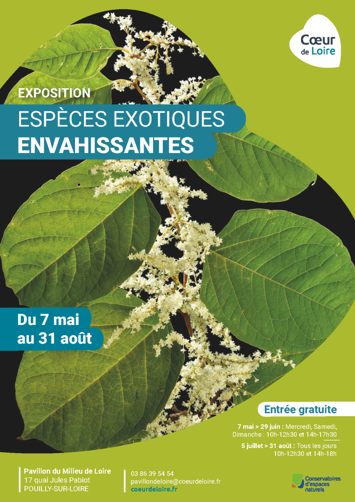 affiche de l'exposition espèces exotiques envahissantes au Pavillon du Milieu de Loire