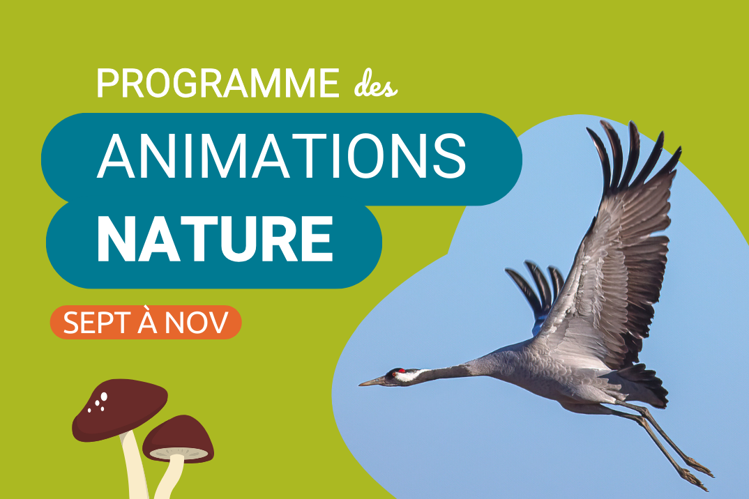 actu internet prog nature septembre novembre 2025